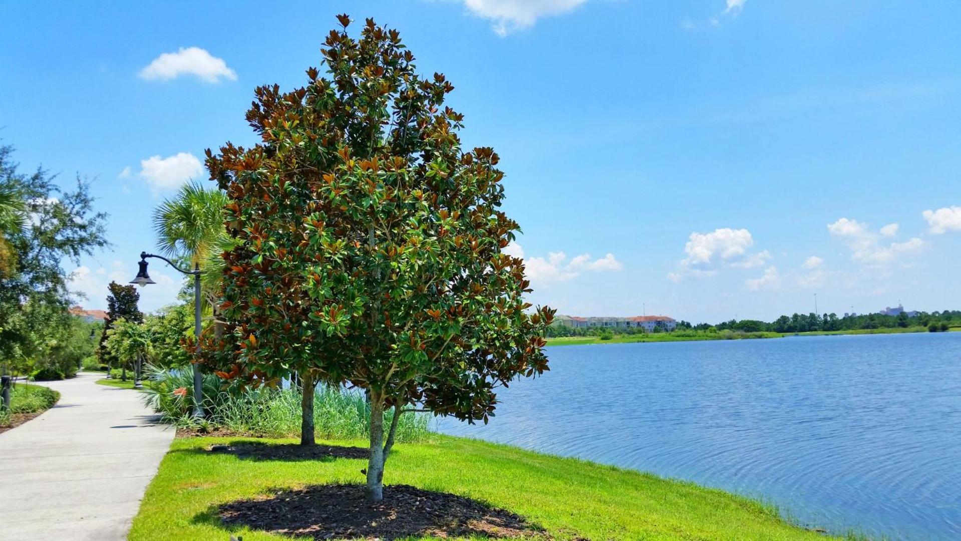 Stylish Vista Cay Townhome Near Conv. Ctr I-Dr. Orlando Exteriör bild